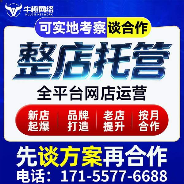 太仓电商代运营